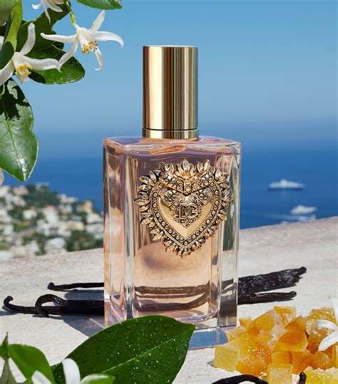 d&g devotion fragrantica.